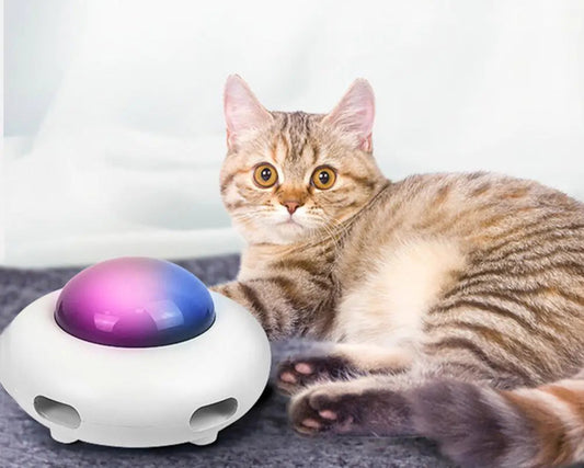 Electric Cat Toy