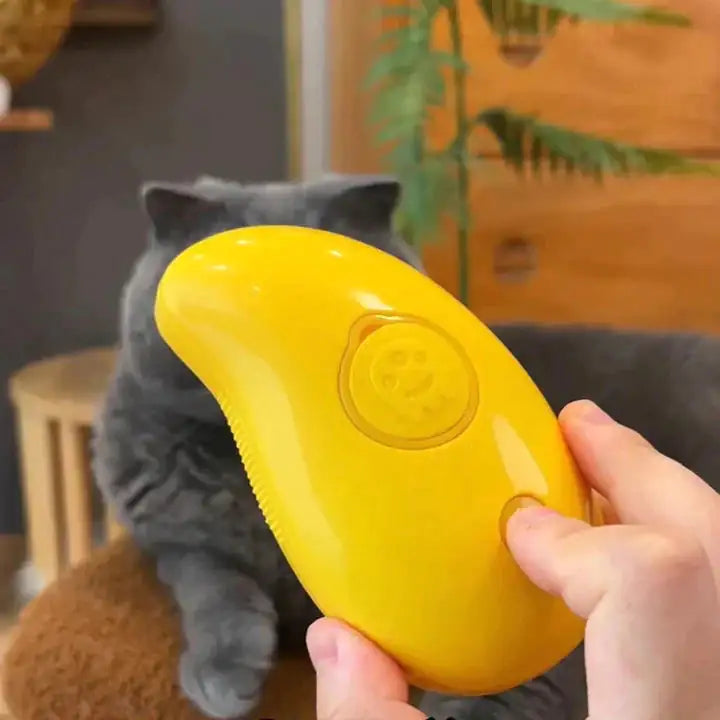 Rechargeable Steam Pet Brush