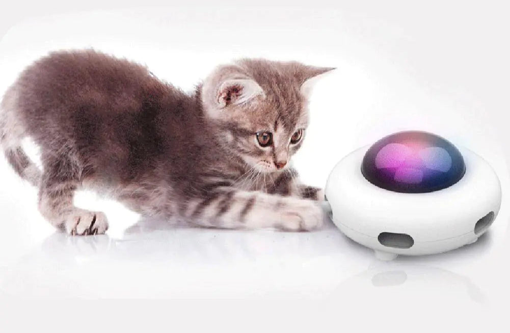 Electric Cat Toy